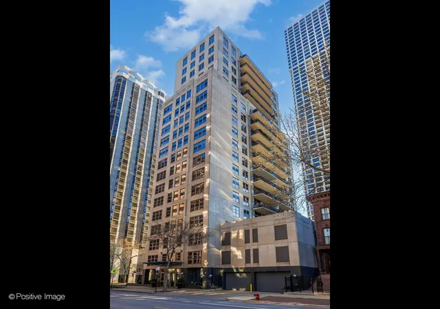 1035-n-dearborn-st-19-chicago-il-60610/hzid_42e72634
