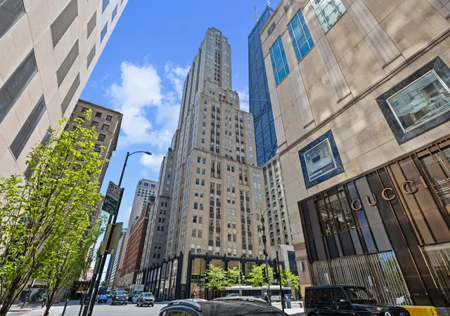159-e-walton-pl-12d-chicago-il-60611/hzid_3585879c