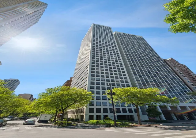 1100-n-lake-shore-dr-n-15b-chicago-il-60611/hzid_49a1368b