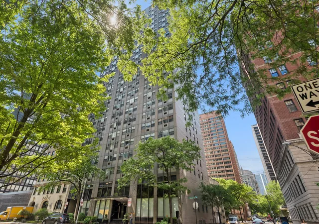 253-e-delaware-pl-7h-chicago-il-60611/hzid_c6735d65