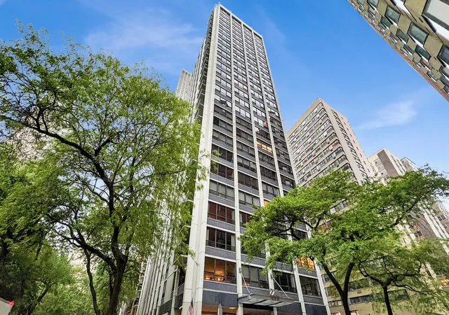 222-e-pearson-st-1401-chicago-il-60611/hzid_c538b937