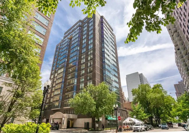 21-w-goethe-st-18gh-chicago-il-60610/hzid_b5eeb123