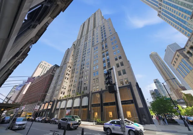 159-e-walton-pl-22a-chicago-il-60611/hzid_a79a25df