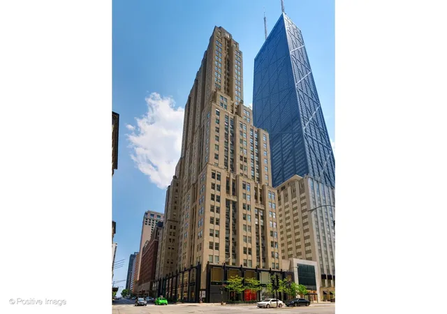 159-e-walton-pl-8g-chicago-il-60611/hzid_b85917df