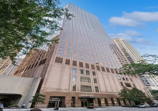 161-e-chicago-ave-49a-chicago-il-60611/hzid_6527c10e