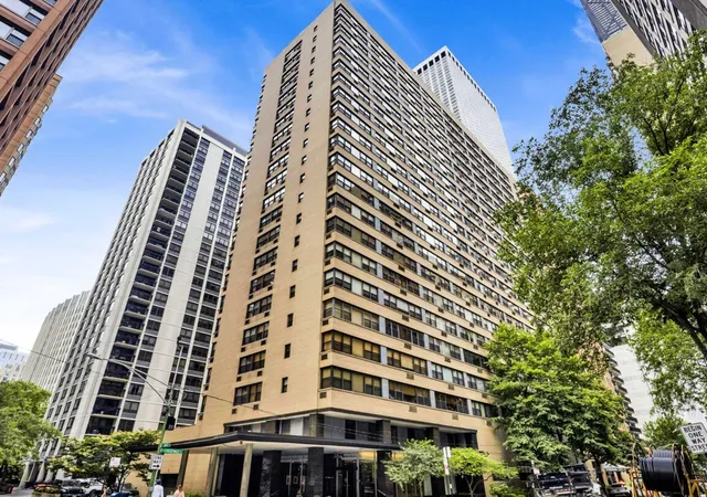 850-n-dewitt-pl-7k-chicago-il-60611/hzid_595d8ae3