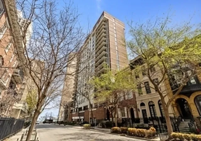 71-e-division-st-1601-chicago-il-60610/hzid_2f95547f