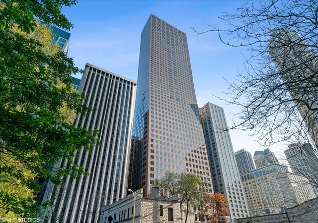 161-e-chicago-ave-33c-chicago-il-60611/hzid_81619f76