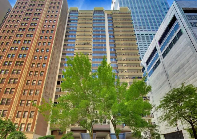 201-e-chestnut-st-8b-chicago-il-60611/hzid_67269453