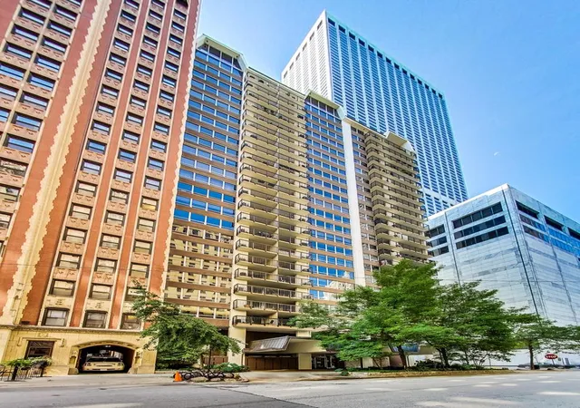 201-e-chestnut-st-3a-chicago-il-60611/hzid_c1ccdf1b