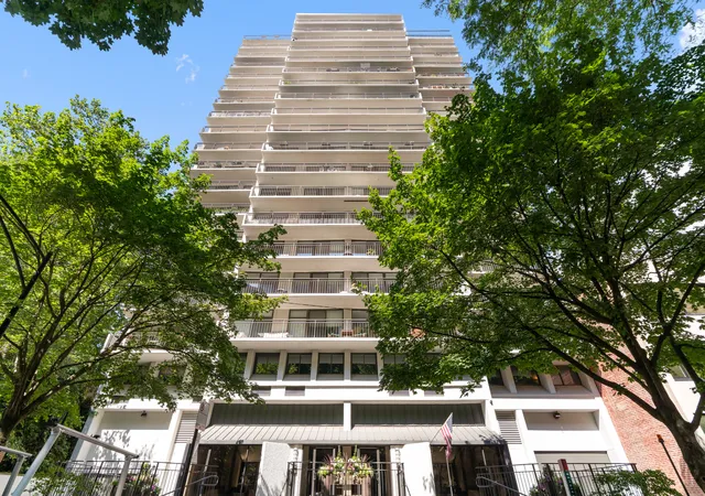 1430-n-astor-st-5c-chicago-il-60610/hzid_1a0e62b6