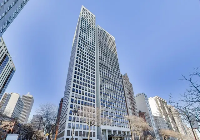 1100-n-lake-shore-dr-27b-chicago-il-60611/hzid_e54be42c