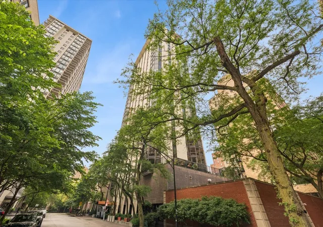 1310-n-ritchie-ct-10ad-chicago-il-60610/hzid_430a0339
