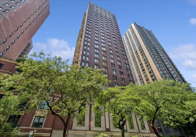 1122-n-dearborn-st-7e-chicago-il-60610/hzid_18db2d53