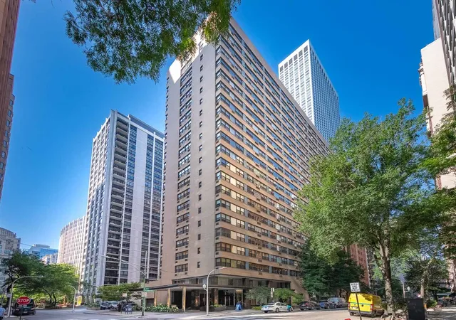 850-n-dewitt-pl-16i-chicago-il-60611/hzid_79862d12