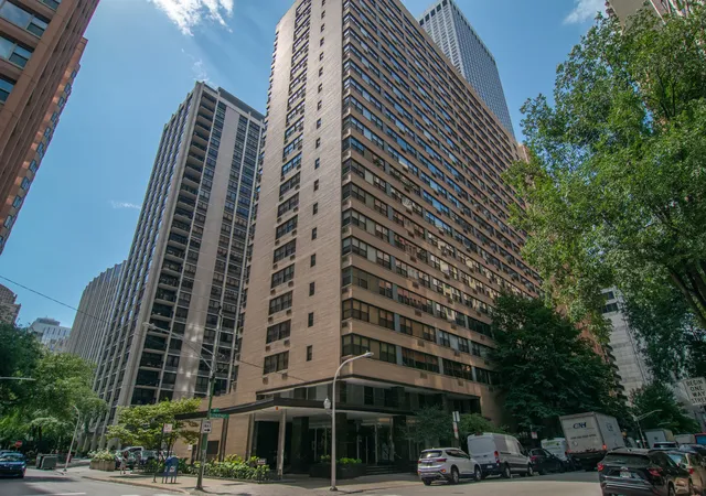 850-n-dewitt-pl-4h-chicago-il-60611/hzid_a2356e21