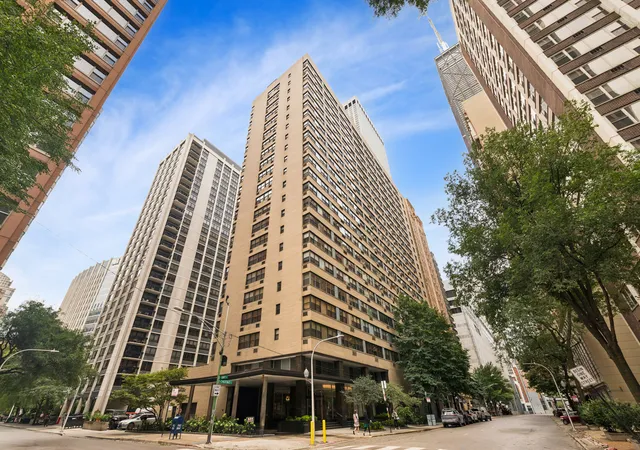850-n-dewitt-pl-16e-chicago-il-60611/hzid_53e5b9fe