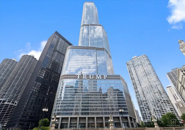 401-n-wabash-ave-68b-chicago-il-60611/hzid_58f2d294