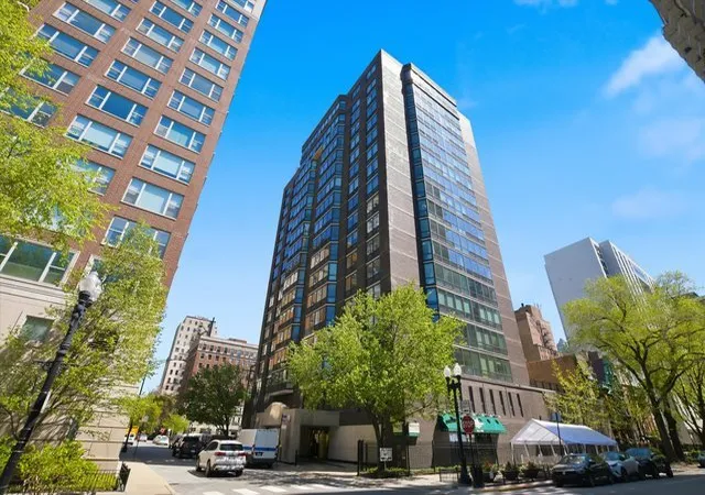 21-w-goethe-st-5e-chicago-il-60610/hzid_e8510810