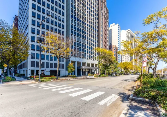 1110-n-lake-shore-dr-31n-chicago-il-60611/hzid_79fbc1d1