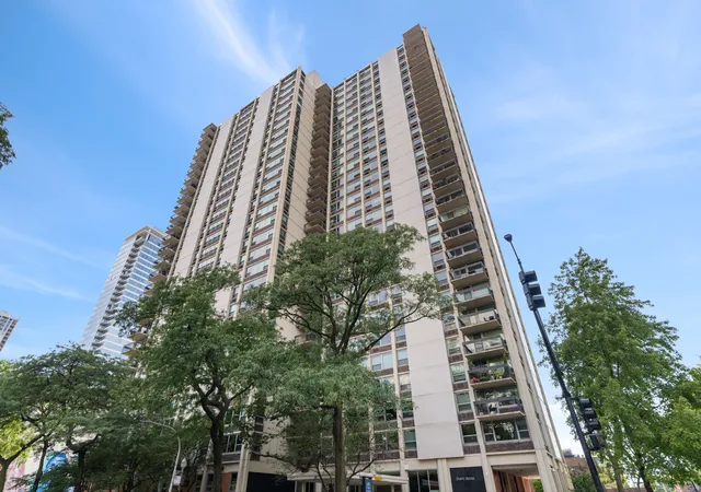 1255-n-sandburg-ter-2305-chicago-il-60610/hzid_0294dbb1