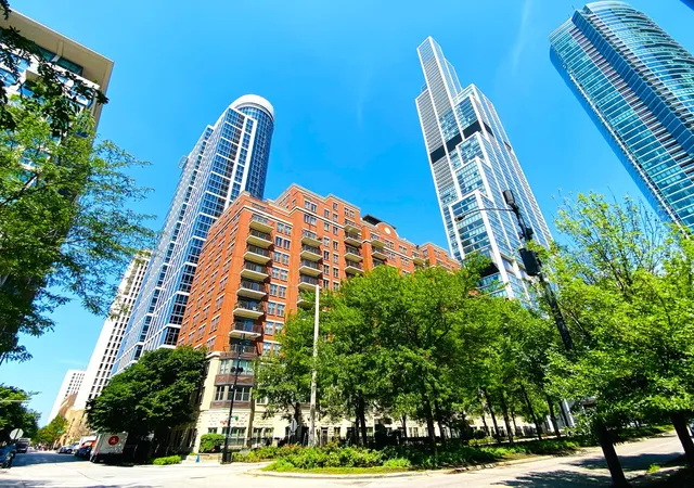 1250-s-indiana-ave-308-chicago-il-60605/hzid_428a5e2c