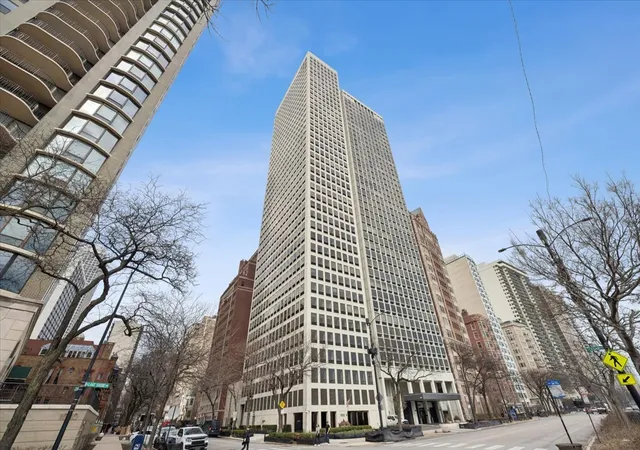 1100-n-lake-shore-dr-7b-chicago-il-60611/hzid_902b7c73