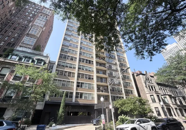 40-e-cedar-st-11c-chicago-il-60611/hzid_84900640