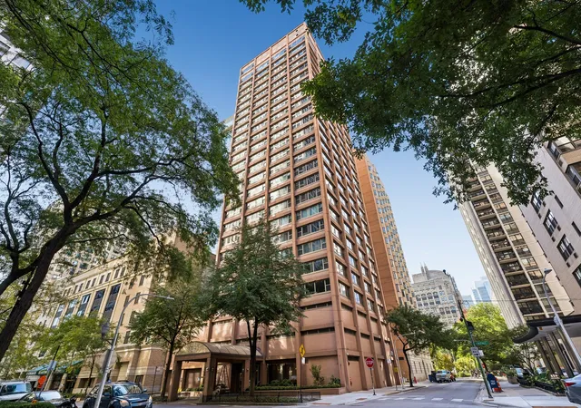 247-e-chestnut-st-1601-chicago-il-60611/hzid_857b01d8