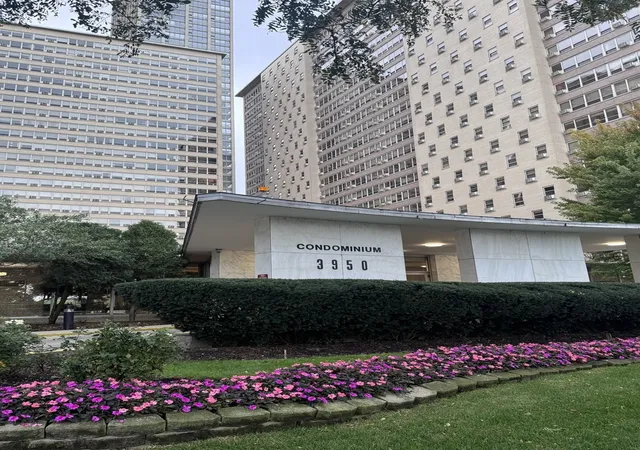 3950-n-lake-shore-dr-204-chicago-il-60613/hzid_d0763ab8