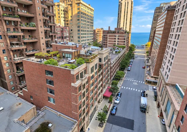 190-e-walton-pl-603-chicago-il-60611/hzid_0f1eefa7