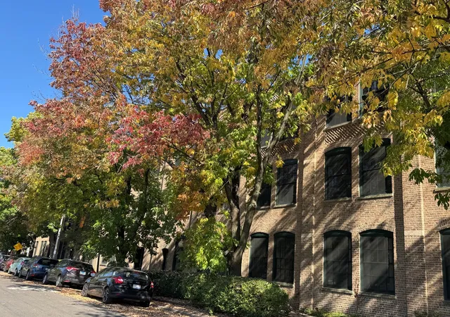 5235-n-ravenswood-ave-11-chicago-il-60640/hzid_0f6e277a