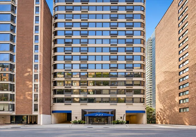221-e-walton-pl-14b-chicago-il-60611/hzid_6b4e03f5