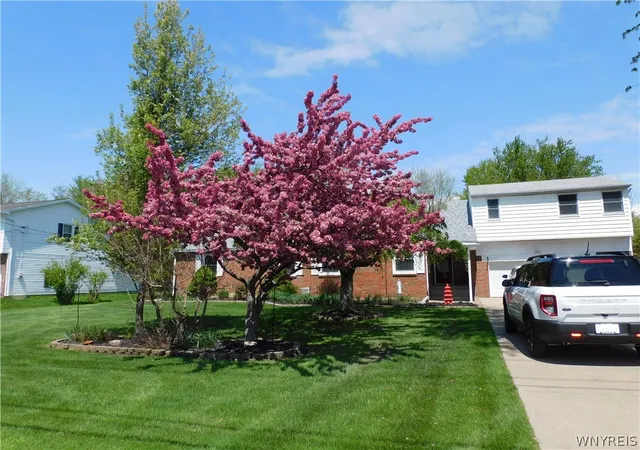 720-fisher-rd-buffalo-ny-14224/hzid_25b8d15f