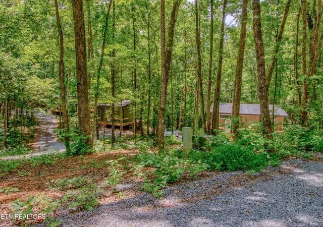 8668-lakeshore-dr-rutledge-tn-37861/hzid_5d9a2adc
