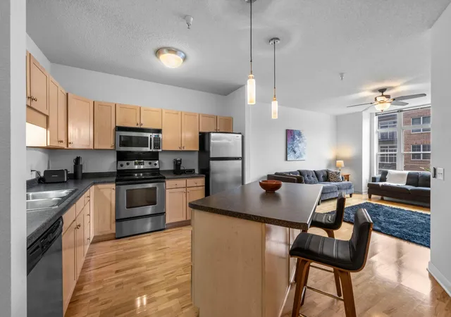 310-e-18th-st-201-minneapolis-mn-55404/hzid_1a8bb7a3
