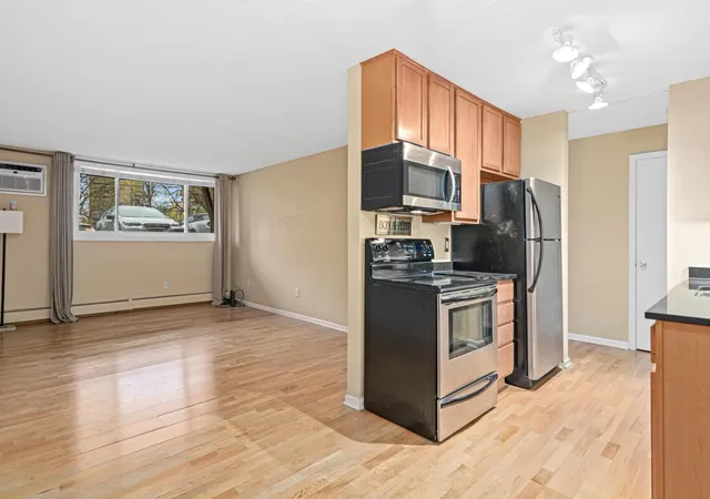 520-ridgewood-ave-3-minneapolis-mn-55403/hzid_d6d1e2ea