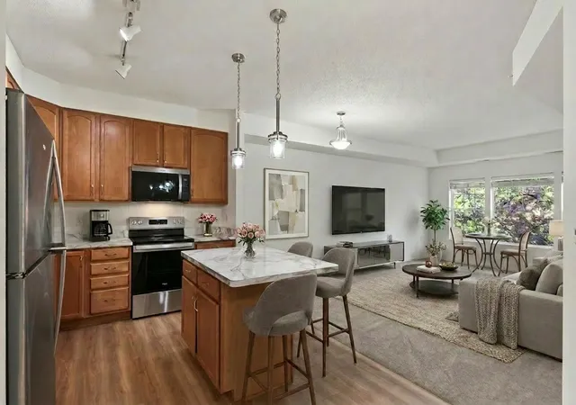 3800-85th-avenue-n-220-minneapolis-mn-55443/hzid_73743b92