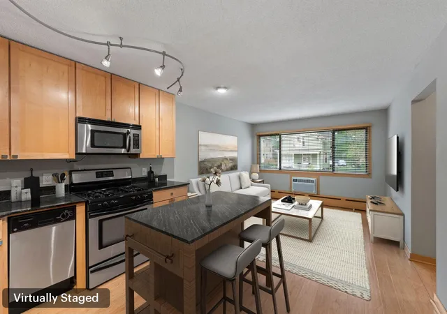 2530-1st-ave-s-n201-minneapolis-mn-55404/hzid_793484ee