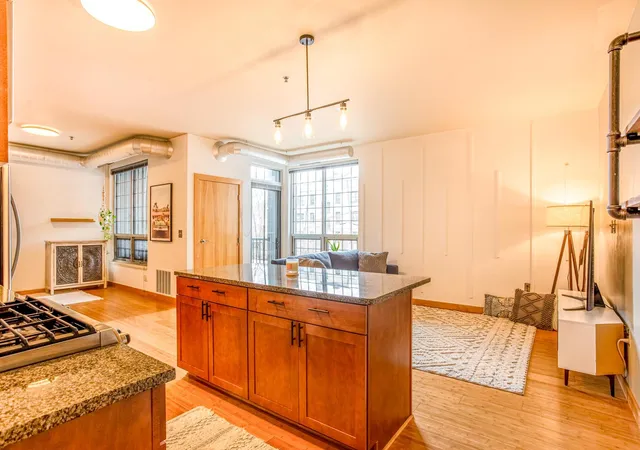 521-2nd-st-se-307-minneapolis-mn-55414/hzid_2d3b8b58