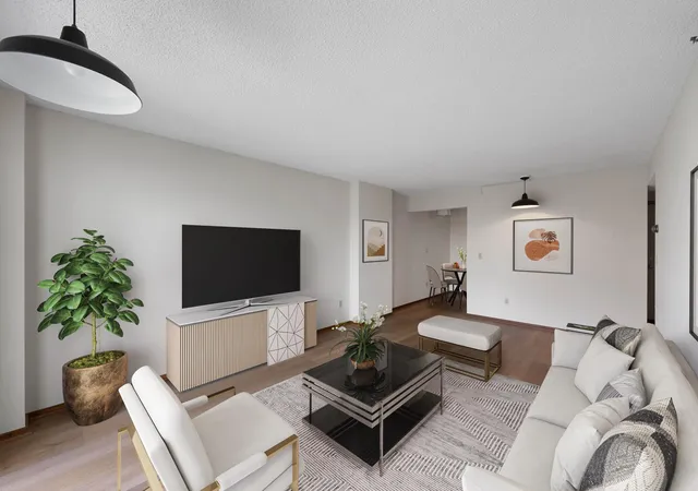 1225-lasalle-ave-1106-minneapolis-mn-55403/hzid_d699629d