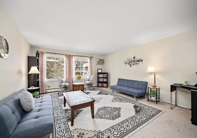 10211-cedar-lake-rd-204-hopkins-mn-55305/hzid_631232f2