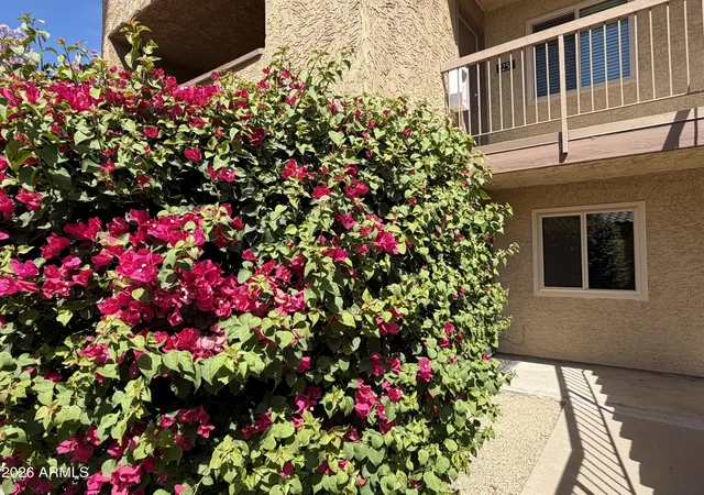 5877-n-granite-reef-rd-1151-scottsdale-az-85250/hzid_0143d7df