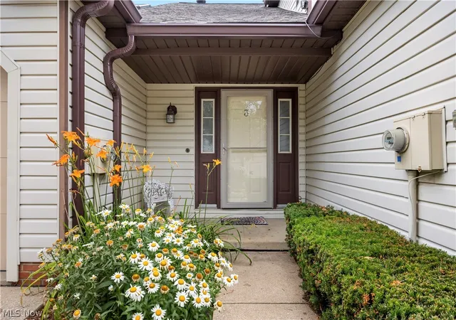 875-hampton-cir-3-aurora-oh-44202/hzid_9129fe3a