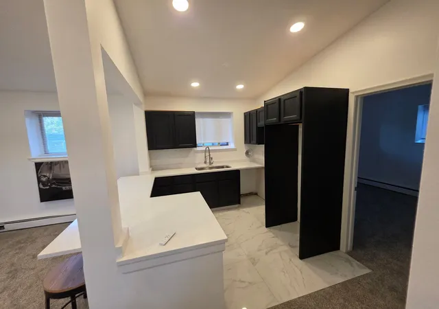 17270-bentler-st-43-detroitcity-wayne-mi-48219/hzid_106ce008