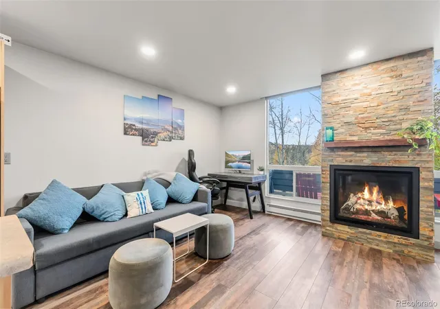 490-straight-creek-dr-520-dillon-co-80435/hzid_4fdfe6b5