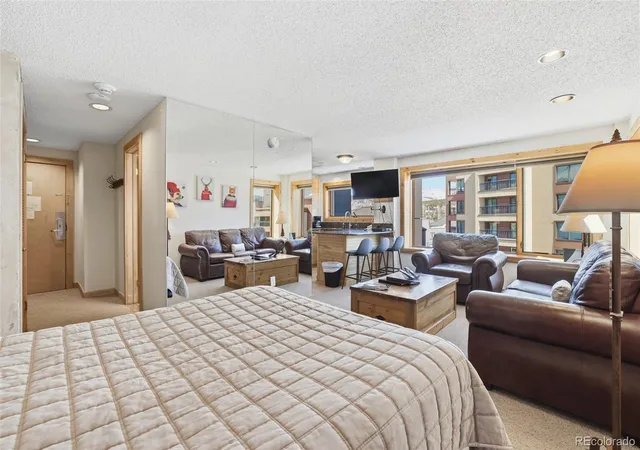 535-s-park-ave-505-breckenridge-co-80424/hzid_345d936e