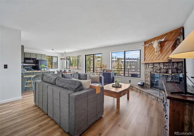 9876-ryan-gulch-rd-206-silverthorne-co-80498/hzid_282bdbd1