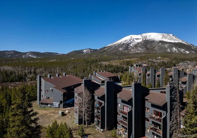 9401-ryan-gulch-rd-9423-silverthorne-co-80498/hzid_09da79e3