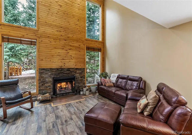 53-burgundy-cir-a-silverthorne-co-80498/hzid_153b7abc